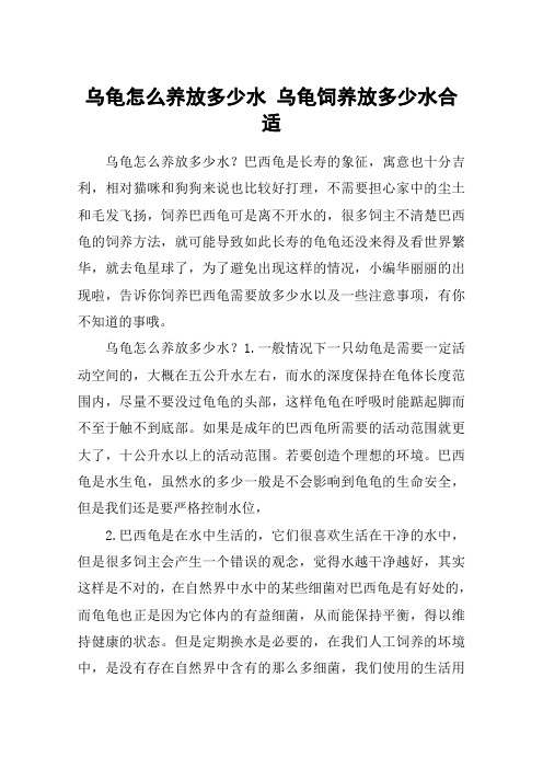 乌龟怎么养放多少水 乌龟饲养放多少水合适