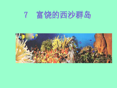 富饶的西沙群岛 (1)