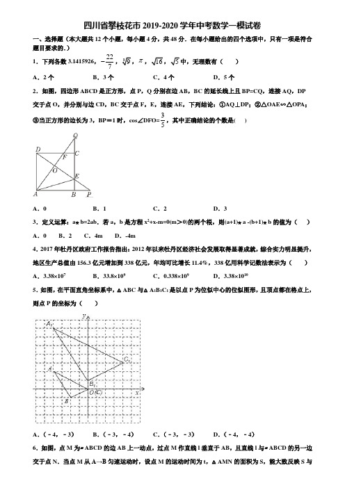 四川省攀枝花市2019-2020学年中考数学一模试卷含解析