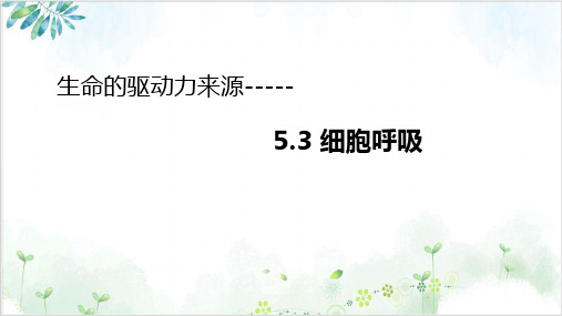 人教版高中生物必修1细胞呼吸课件15PPT-PPT优秀课件