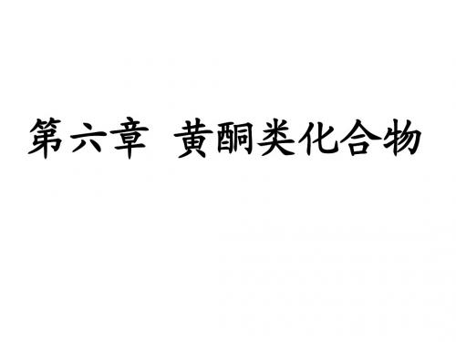 中药化学(2)第六章1