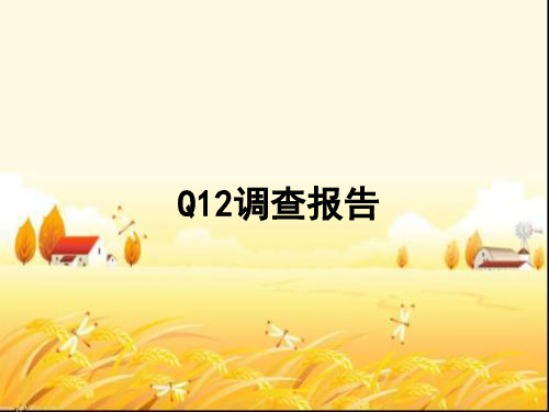 Q12调查报告ppt