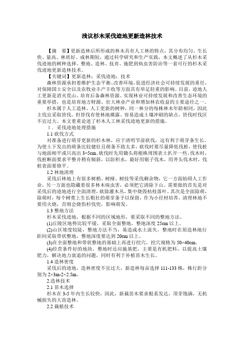 浅议杉木采伐迹地更新造林技术
