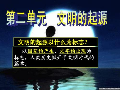 第一课 得天独厚的大河文明