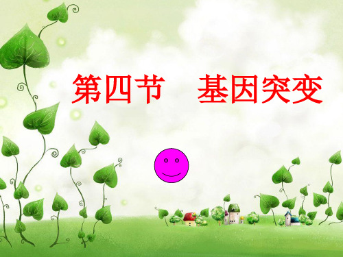 基因突变(优秀课)