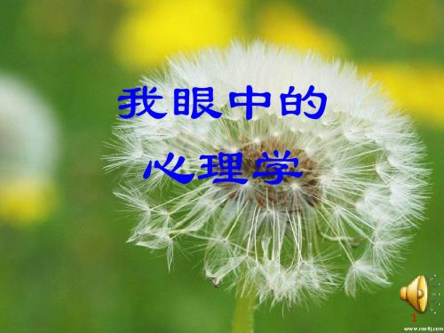 选修心理学演讲：我眼中的心理学