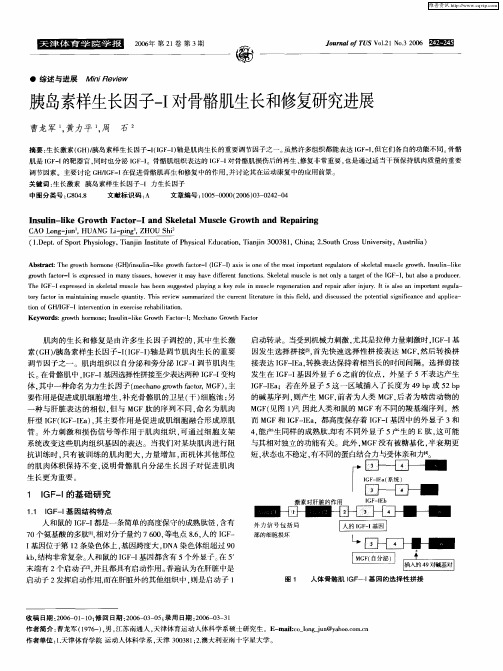 胰岛素样生长因子-I对骨骼肌生长和修复研究进展