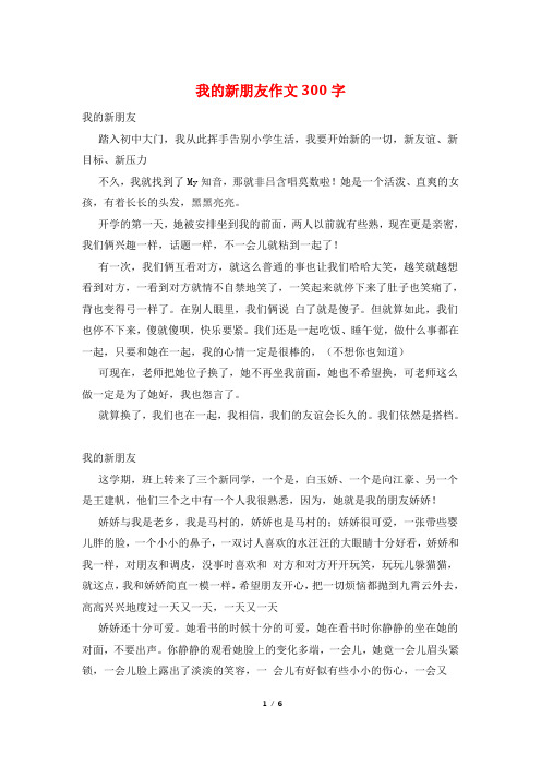 我的新朋友作文300字