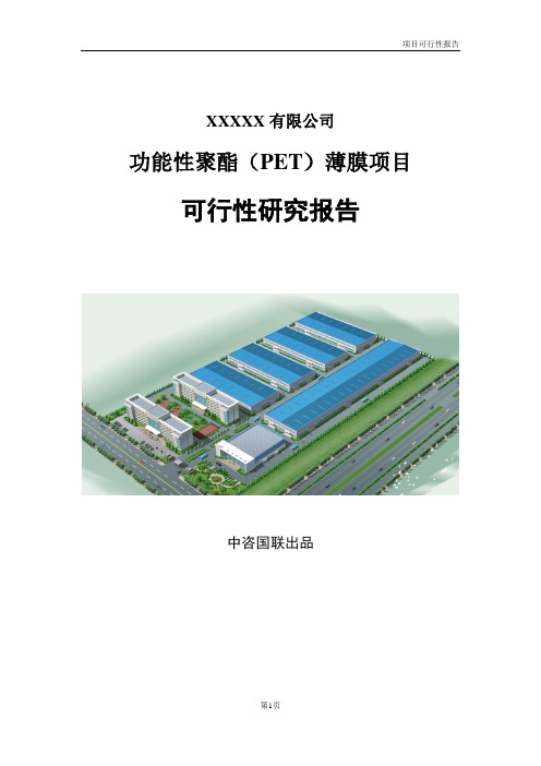 功能性聚酯(PET)薄膜项目可行性研究报告精简版
