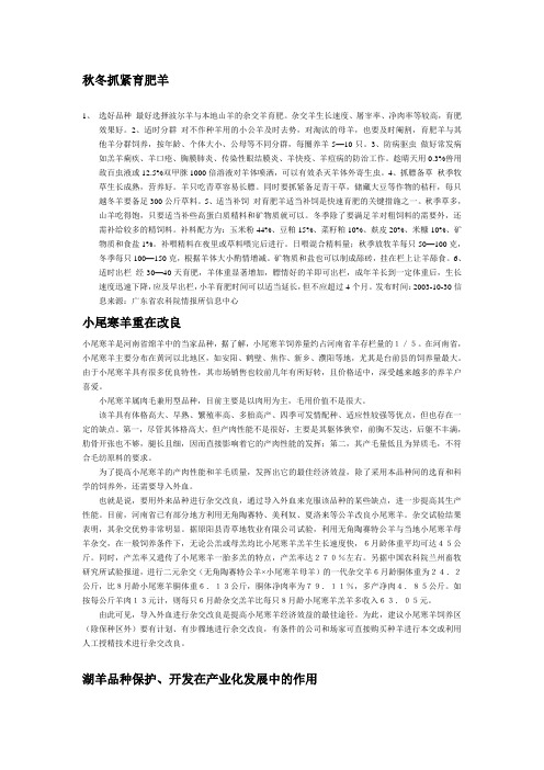 波尔和杜泊羊饲养管理