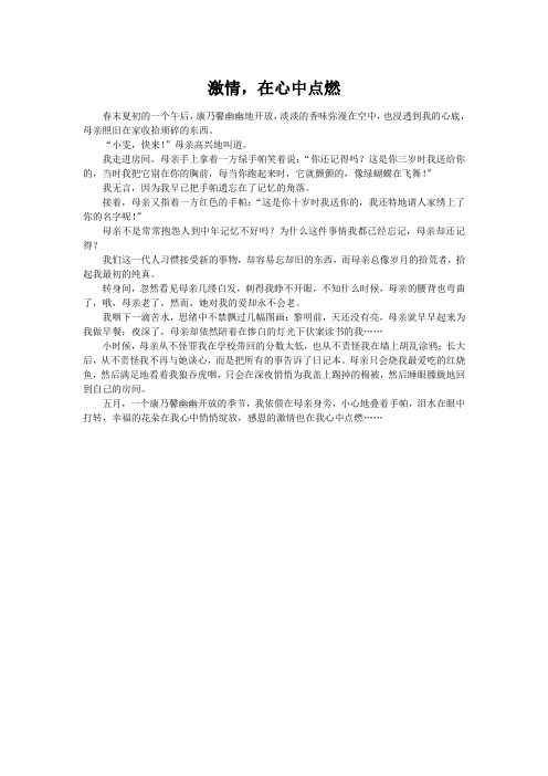 激情,在心中点燃