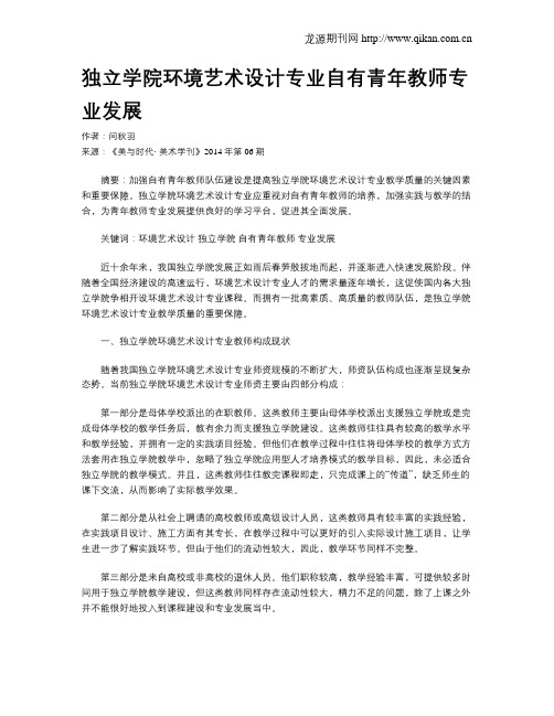 独立学院环境艺术设计专业自有青年教师专业发展