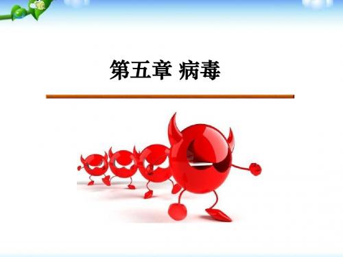 《病毒》PPT课件(上课用)2