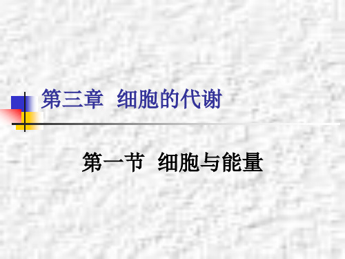 细胞与能量