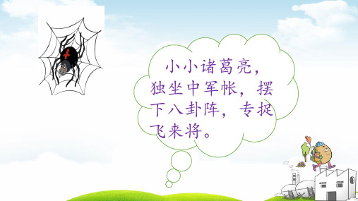 《蜘蛛开店》实用PPT2