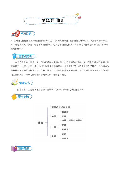 第11讲糖类20222023高二化学精品讲义(人教版2019选择性必修3)(原卷版)