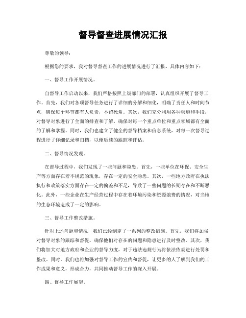 督导督查进展情况汇报