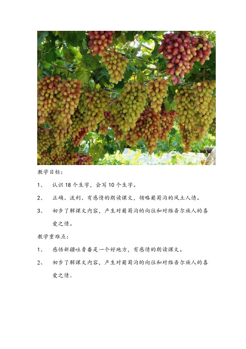 小学语文_11.葡萄沟教学设计学情分析教材分析课后反思