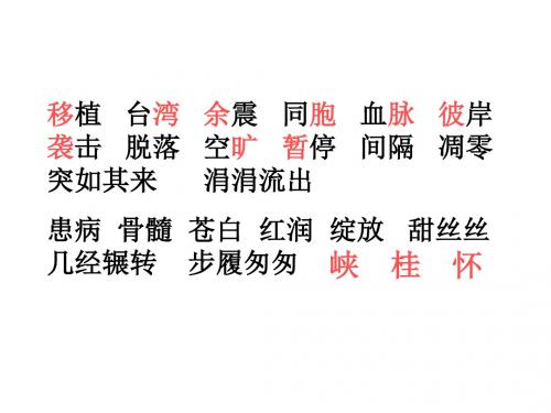 四年级语文跨越海峡的生命桥2[人教版](2019新)