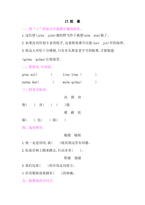 17松鼠 课后作业