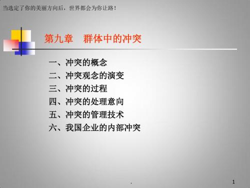 群体冲突PPT课件