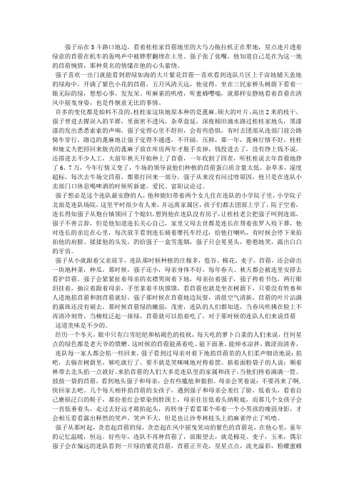 风中摇曳的苜蓿花