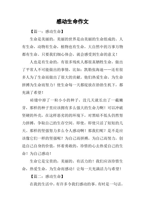 感动生命作文