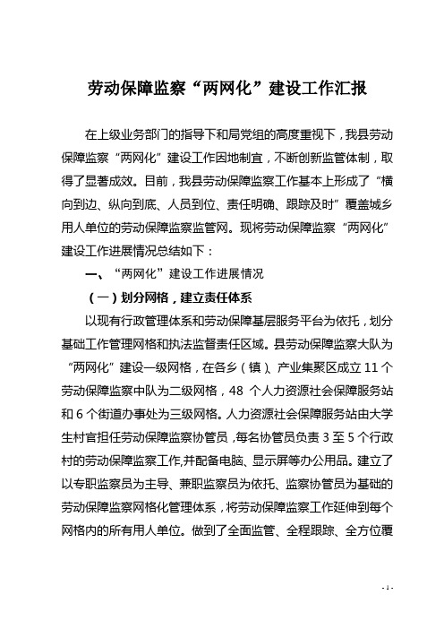劳动保障监察两网化建设工作总结