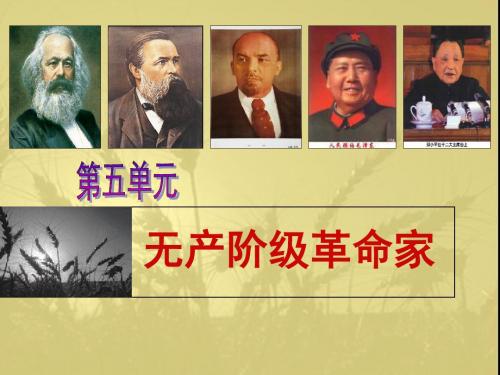 人教版高中历史选修4 5.1《科学社会主义的奠基人马克思》参考课件2
