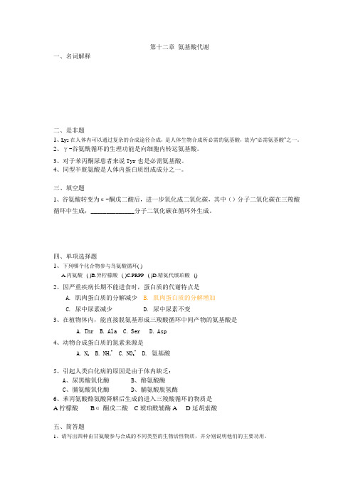 氨基酸代谢