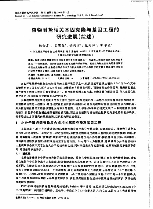 植物耐盐相关基因克隆与基因工程的研究进展(综述)