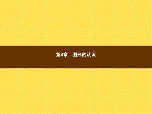 【数学课件】七年级数学上4.1《几何图形》ppt课件(湘教版)
