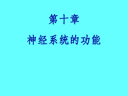 《神经系统的功能》PPT课件