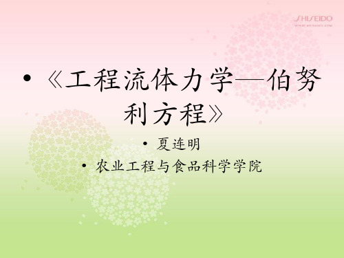 伯努利方程 课件