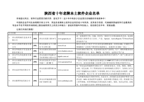 陕西省十年老牌本土软件企业名单