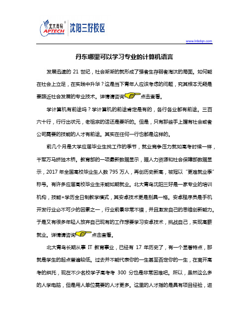 丹东哪里可以学习专业的计算机语言