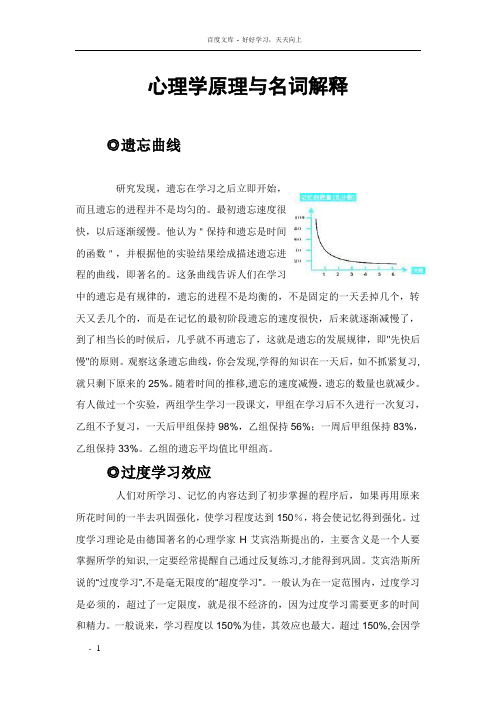 心理学原理与名词解释