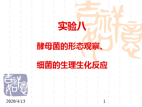 实验八酵母菌形态观察细菌生理生化反应