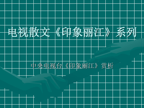 电视散文《印象丽江》系列