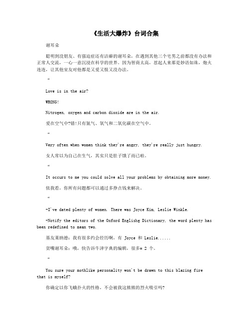 《生活大爆炸》台词合集