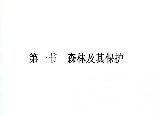 【人教版】2019年高二地理选修六：4.1《森林及其保护》ppt课件