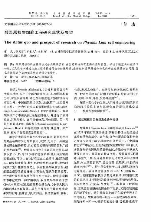 酸浆属植物细胞工程研究现状及展望