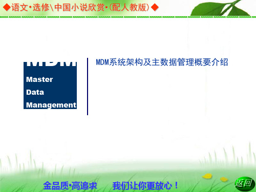 MDM简介