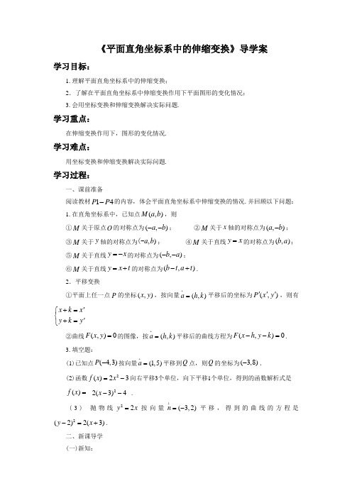 《1.1.2平面直角坐标系中的伸缩变换》教学案3