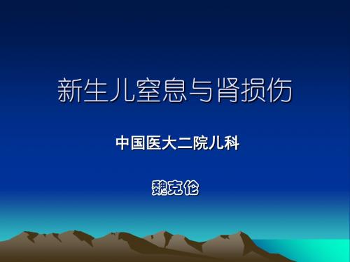 5-新生儿急性肾损伤-魏克伦-101页文档资料