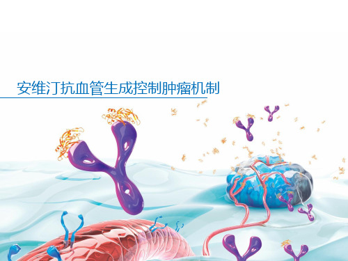 医学-安维汀抗血管机制 ppt课件