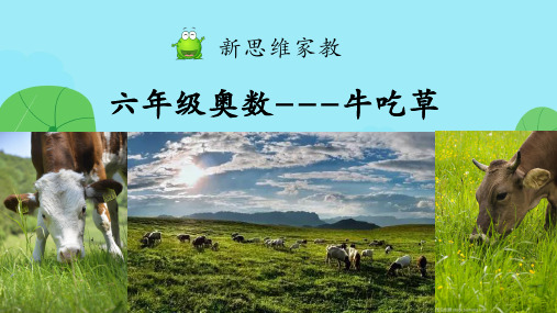 六年级奥数----牛吃草(题型全面)