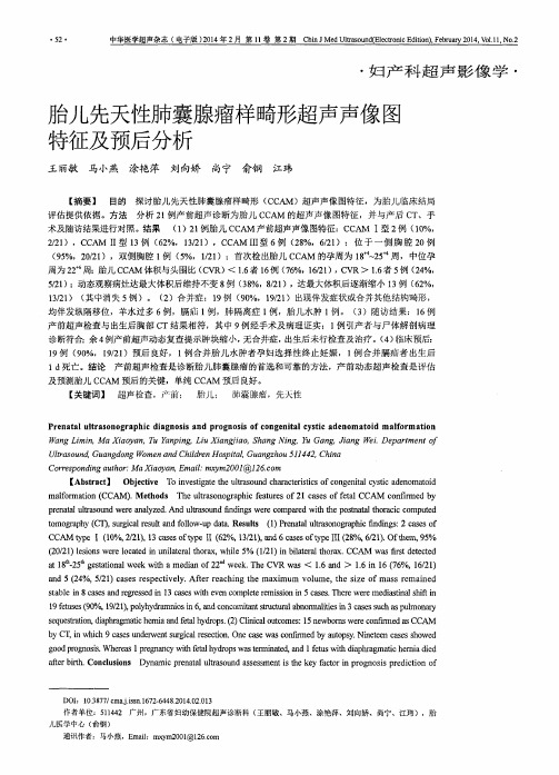 胎儿先天性肺囊腺瘤样畸形超声声像图特征及预后分析