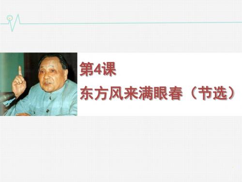 【高中语文】东方风来满眼春ppt精品课件28