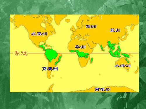 语文版八年级上册第五单元18课 《雨林的毁灭——世界性灾难》课件(45张PPT)
